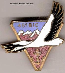 BIC 45e